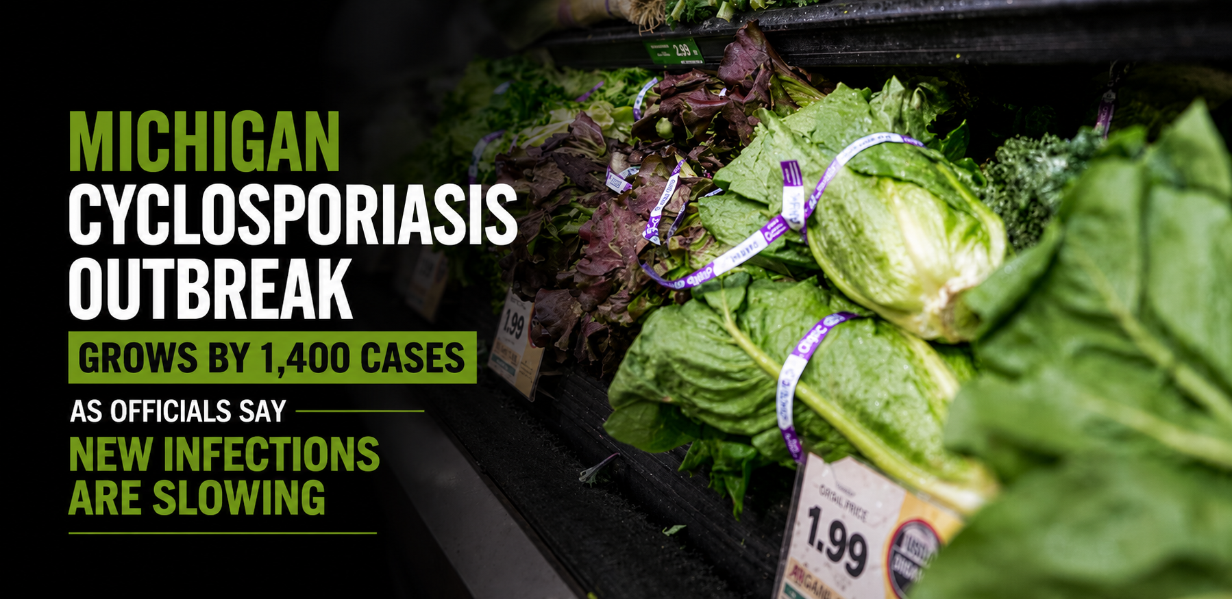 michigan cyclosporriasis