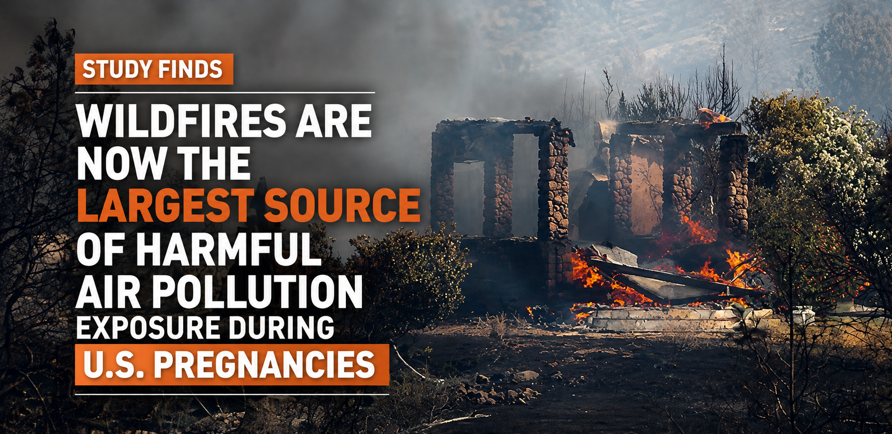 study finds wildfire